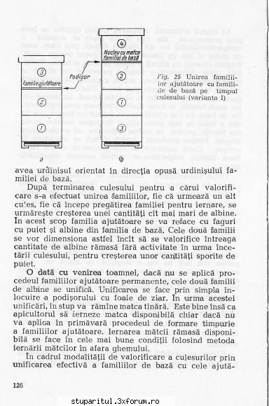 Cum ma sfatuiti sa fac? - andrei_salaj - PAGINA APICULTORULUI INCEPATOR