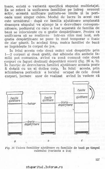 Cum ma sfatuiti sa fac? - andrei_salaj - PAGINA APICULTORULUI INCEPATOR