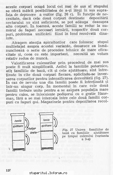 Cum ma sfatuiti sa fac? - andrei_salaj - PAGINA APICULTORULUI INCEPATOR