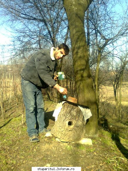 Cum se face stimularea :) - da frumos in padure ca mai sint si albine din - VIDEOCLIPUL SAPTAMANII