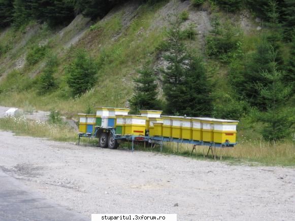 Cum se numesc aceste piese??? - aici s-a vorbit despre remorca si am pus eu - CAFENEA - DISCUTII DESPRE ORICE