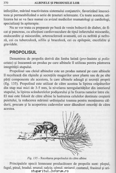 Cum si cu ce colectam propolisul? - vad ca nu se prea posteaza aici..lumea intra vede - PRODUSELE ALBINELOR