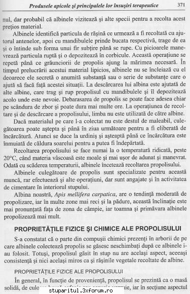Cum si cu ce colectam propolisul? - andrei_salaj - PRODUSELE ALBINELOR