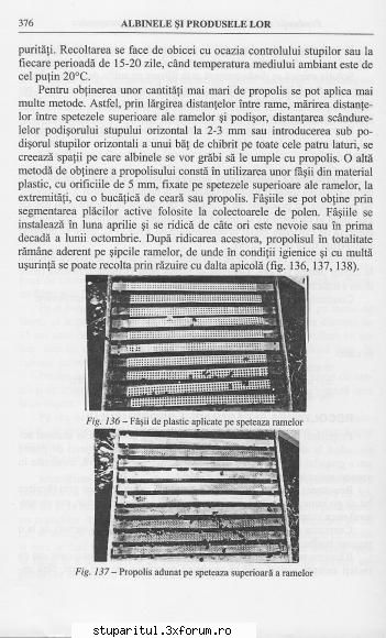 Cum si cu ce colectam propolisul? - andrei_salaj - PRODUSELE ALBINELOR