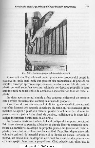 Cum si cu ce colectam propolisul? - andrei_salaj - PRODUSELE ALBINELOR