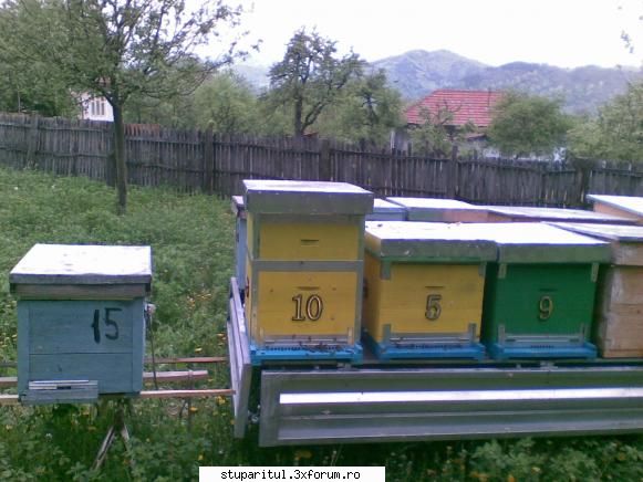 Cumparare STUP VERTICAL. - pngflorin - ECHIPAMENTE SI UTILAJE APICOLE