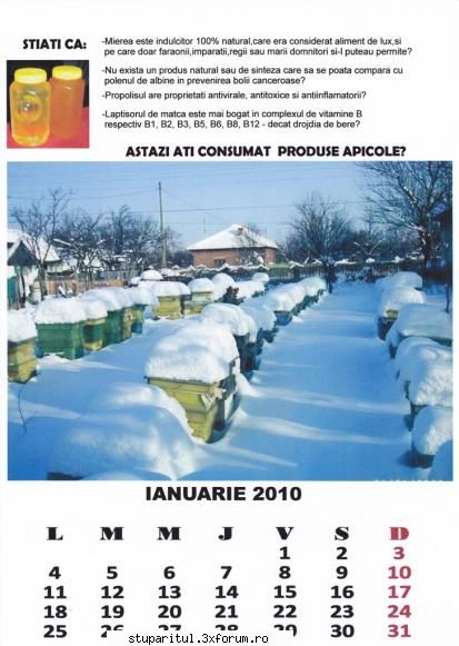 D.D.-Dila' Daniel - Daca tot a venit iarna,am zis sa initiez un - PAGINI PERSONALE ! CINE SUNT EU ?