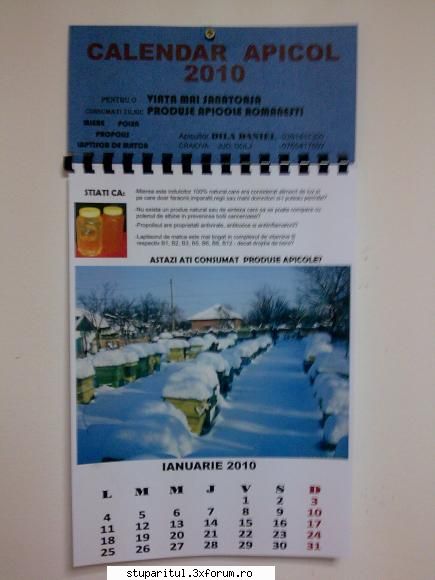 D.D.-Dila' Daniel - Obiectiv indeplinit.Am agatat calendarul in cui! - PAGINI PERSONALE ! CINE SUNT EU ?