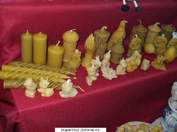 De la Iasi ( Targul apicol Martie 2010 ) - Alecs - CALATORII SI INTALNIRI