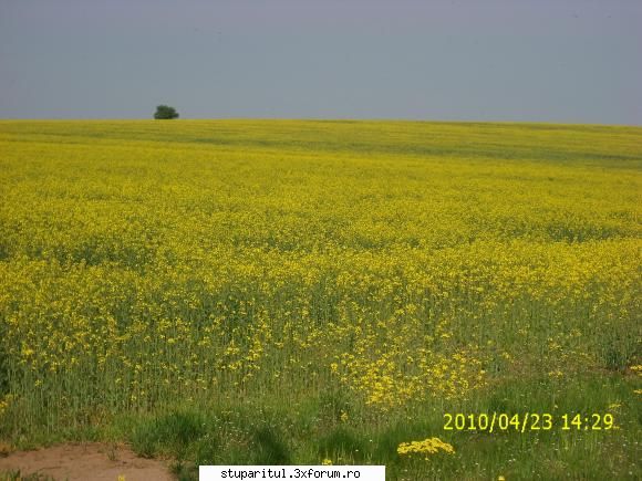 De la SUD la NORD-ul Olteniei - Si uite asa cu chiu cu vai am ajuns - JURNAL DE APICULTOR - JURNALE PERSONALE