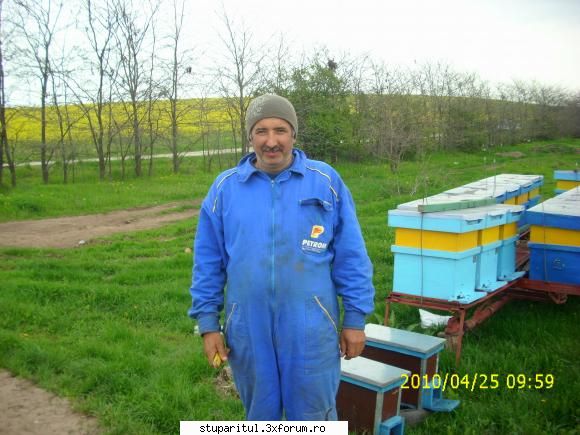 De la SUD la NORD-ul Olteniei - Apicultor in vizita!! - JURNAL DE APICULTOR - JURNALE PERSONALE