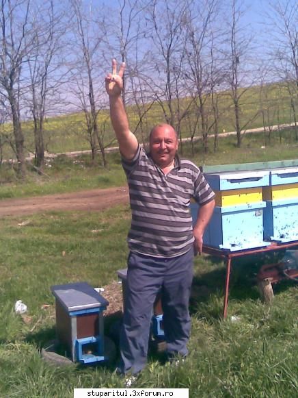 De la SUD la NORD-ul Olteniei - Eu salut pe toata lumea si le urez - JURNAL DE APICULTOR - JURNALE PERSONALE