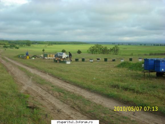 De la SUD la NORD-ul Olteniei - O poza cu noua locatie - JURNAL DE APICULTOR - JURNALE PERSONALE