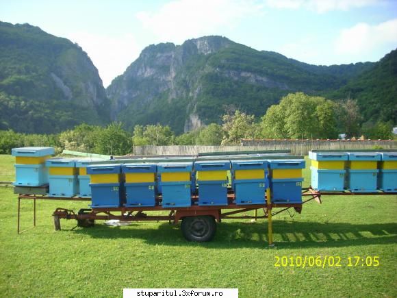 De la SUD la NORD-ul Olteniei - Noua locatie Salcam 3!!! - JURNAL DE APICULTOR - JURNALE PERSONALE