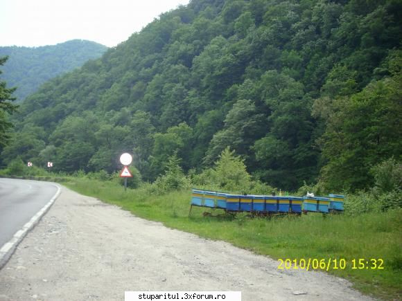 De la SUD la NORD-ul Olteniei - Aici dintr-un puct de vedere - JURNAL DE APICULTOR - JURNALE PERSONALE
