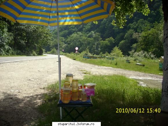De la SUD la NORD-ul Olteniei - Alta poza cu produse!!! - JURNAL DE APICULTOR - JURNALE PERSONALE