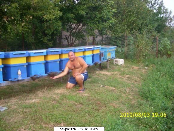 De la SUD la NORD-ul Olteniei - O mangaiere reciproca!!! - JURNAL DE APICULTOR - JURNALE PERSONALE