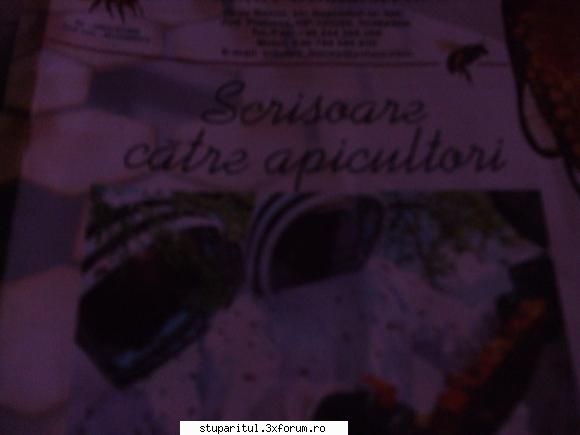 De la un procesator cetire... - sper sa se vada - DISCUTII APICOLE DIVERSE