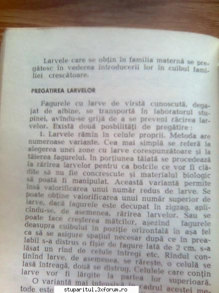 Despre JENTER...oua...larve - despre larve doar - CRESTEREA MATCILOR