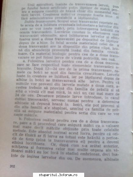 Despre JENTER...oua...larve - balasbebe - CRESTEREA MATCILOR