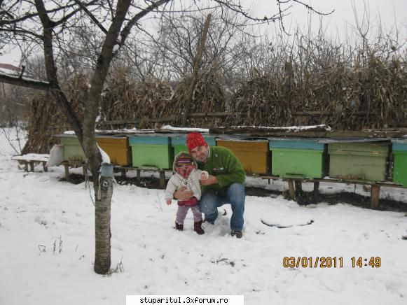 Despre Pastoral - Si aici ALBINUTA mea - PAGINA APICULTORULUI INCEPATOR