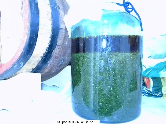 Despre Protofil - In general cumparam alcool de 90% dar plantele se - BOLI SI DAUNATORI - TRATAMENTE