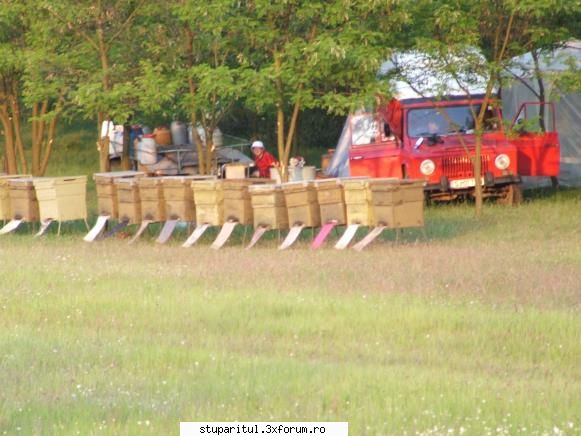 Despre bihoreni, si conducera ACA Bihor - dupa cum stiu eu p - LOCURI DE PASTORAL , TRASEE , STAREA DRUMURILOR