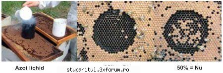 Despre comportamentul de curatire, - xxxxxxxxxxxxxxxxxxxxxxxxxxxxxxxxxxxxxxxx - BOLI SI DAUNATORI - TRATAMENTE