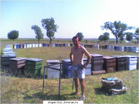 in  dobrogea despre mine