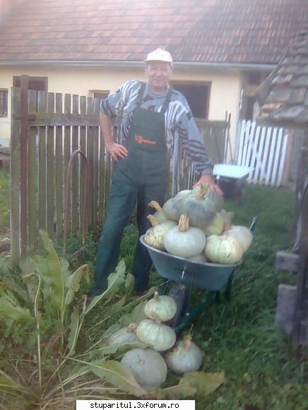 Din Mures, in Salaj - Un ucenic de nadejde - PAGINI PERSONALE ! CINE SUNT EU ?