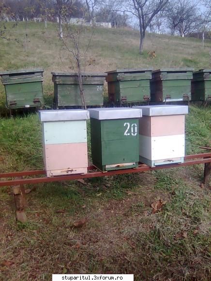 Din Mures, in Salaj - Oare ajunge sa treaca iarna doar pe doua corpuri? - PAGINI PERSONALE ! CINE SUNT EU ?