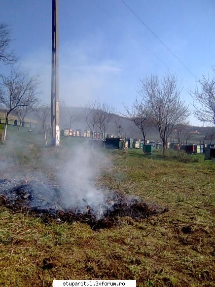 Din Mures, in Salaj - Putina curatenie de primavara nu strica - PAGINI PERSONALE ! CINE SUNT EU ?