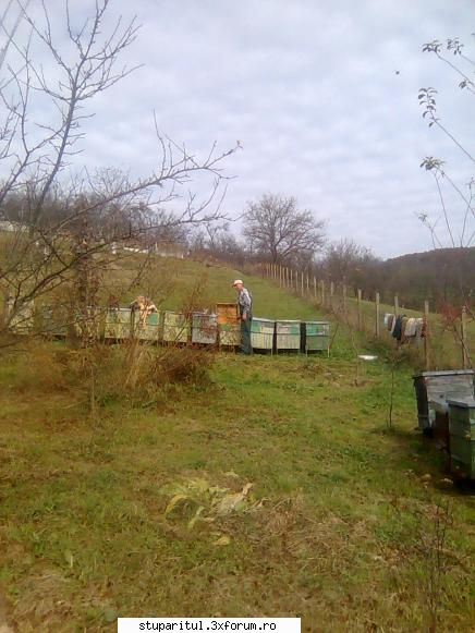 Din Mures, in Salaj - Putina munca nu strica - PAGINI PERSONALE ! CINE SUNT EU ?