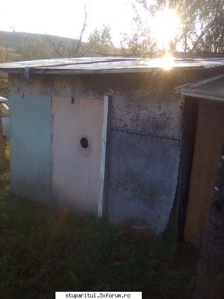 Din Mures, in Salaj - Daca nu a mai facut pastoral a intrat in pamant - PAGINI PERSONALE ! CINE SUNT EU ?