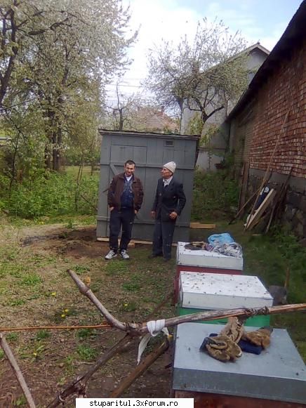 Din Mures, in Salaj - Trei stupi si doua generatii - PAGINI PERSONALE ! CINE SUNT EU ?