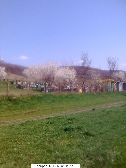 Din Mures, in Salaj - Parca a dat cu bomba mama natura - PAGINI PERSONALE ! CINE SUNT EU ?