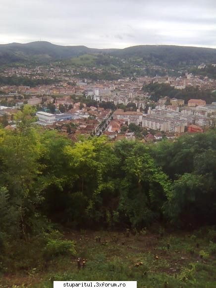 Din Mures, in Salaj - Stie Stefan un loc bun, la Sighisoara - PAGINI PERSONALE ! CINE SUNT EU ?