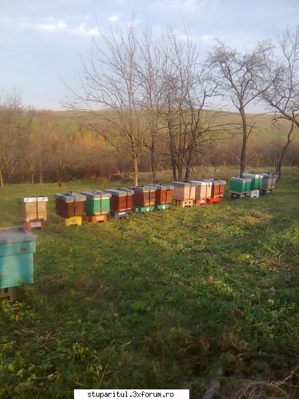 Din Mures, in Salaj - balasbebe - PAGINI PERSONALE ! CINE SUNT EU ?