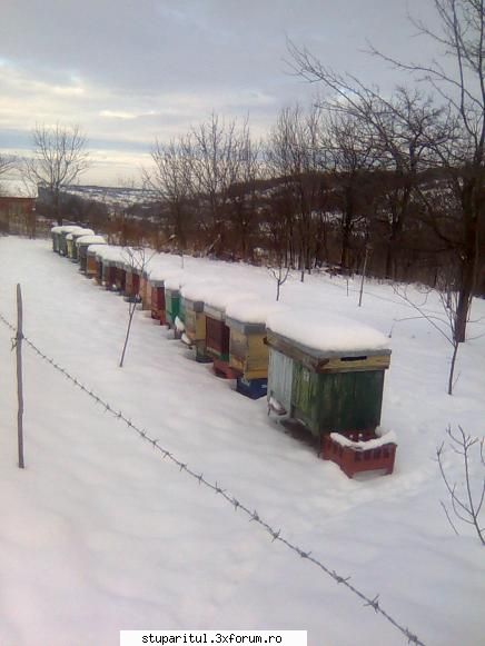 Din Mures, in Salaj - Sa sti ca doar ala a fost norocul. La asta am - PAGINI PERSONALE ! CINE SUNT EU ?