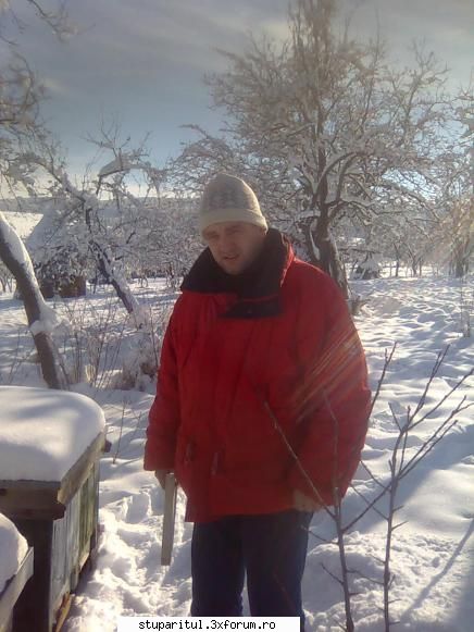 Din Mures, in Salaj - Azi 24 decembrie. Temp min 4,5 grade, zapada 18 cm - PAGINI PERSONALE ! CINE SUNT EU ?