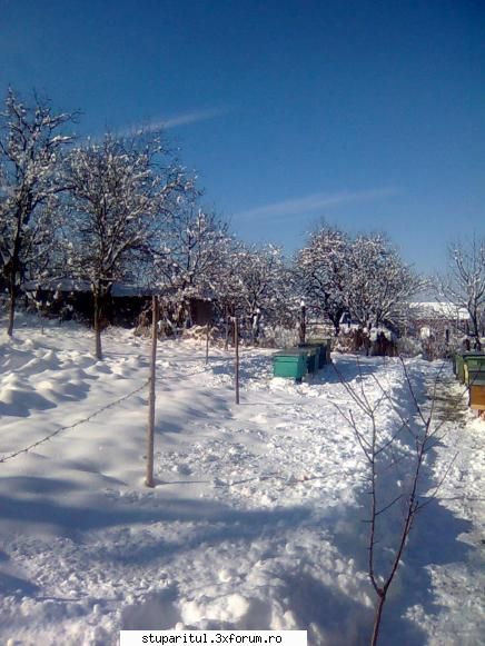 Din Mures, in Salaj - Dupa ce am curatat zapada capacele erau calde - PAGINI PERSONALE ! CINE SUNT EU ?