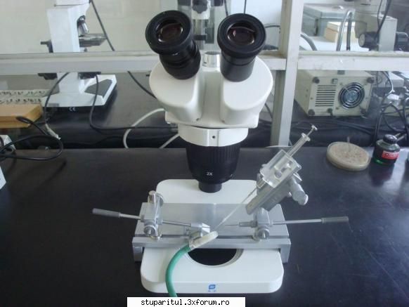 Dispozitiv - Honeybee artificial insemination instrument-China - CRESTEREA MATCILOR