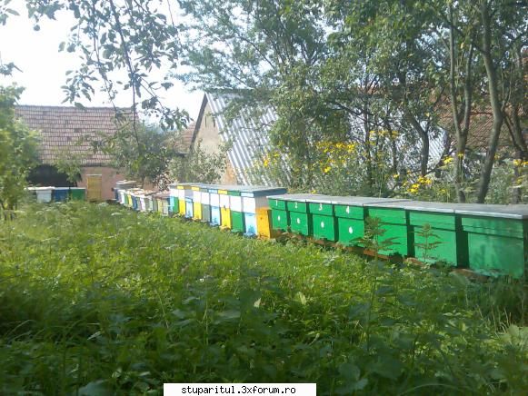 distanta dintre doua stupine pupemea ceva frunte sa-ti trebuiasca cand iesi amenintare sau stiti mai