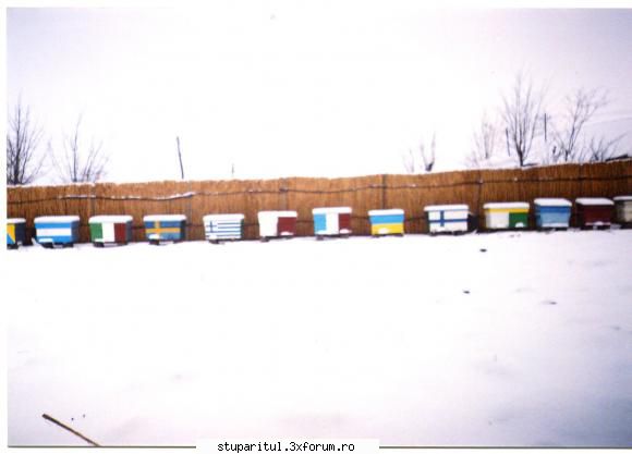 Doua imagini de la APIDOR. - U.E. si nu numai in stupina - POZE