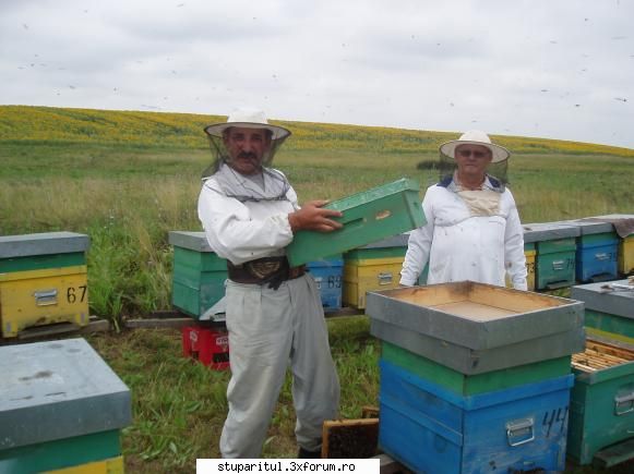 Durerile de spate - "boala stuparului" - Sal'tare! Noi, ardele - TRATAMENTE NATURISTE PENTRU ALBINE SI STUPARI