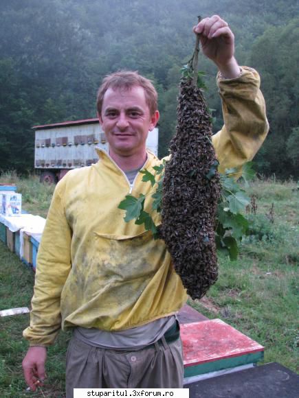 Emi - uite si povestea avatarului lu' alt stupar :D - PAGINI PERSONALE ! CINE SUNT EU ?