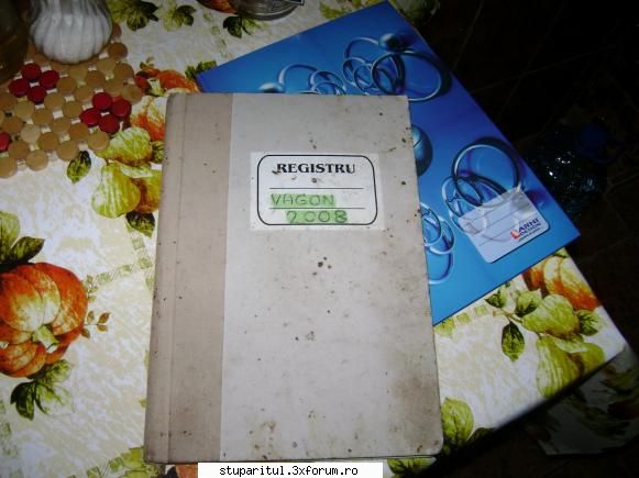 Evidenta stupinei - istorii propolizate vs coperte imaculate - DISCUTII APICOLE DIVERSE