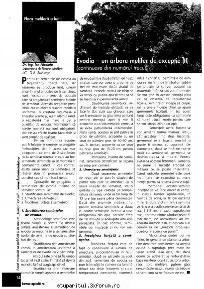 Evodia - nelu.prisacaru - BAZA MELIFERA - PLANTE , ARBUSTI , ARBORI