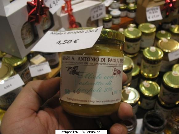 Expozitia de artizanat de la Milano - Un alt produs - miere cu propolis propolisul - CALATORII SI INTALNIRI