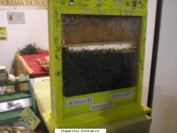 Expozitia de artizanat de la Milano - Un stup de observatie la unul dintre standuri - CALATORII SI INTALNIRI